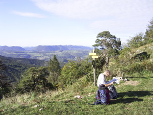 Activiteiten Drôme