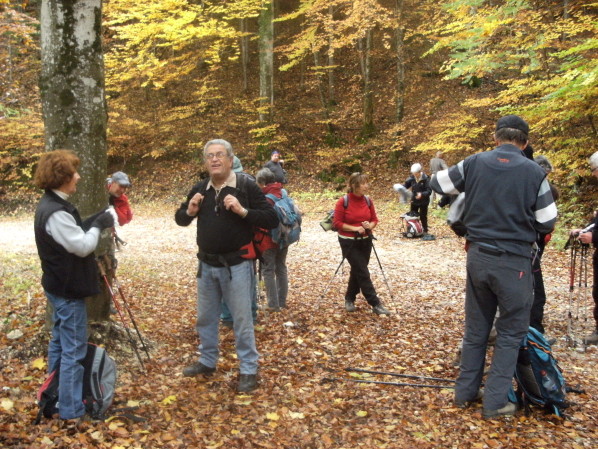 rando-foret-de-saou-groupe